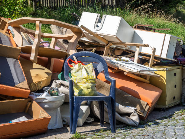 Best Same-Day Junk Removal  in Lake Vla, IL