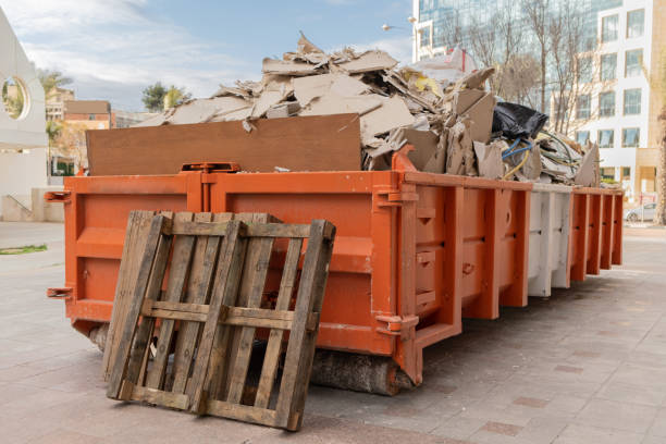 Best Affordable Junk Removal Services  in Lake Vla, IL