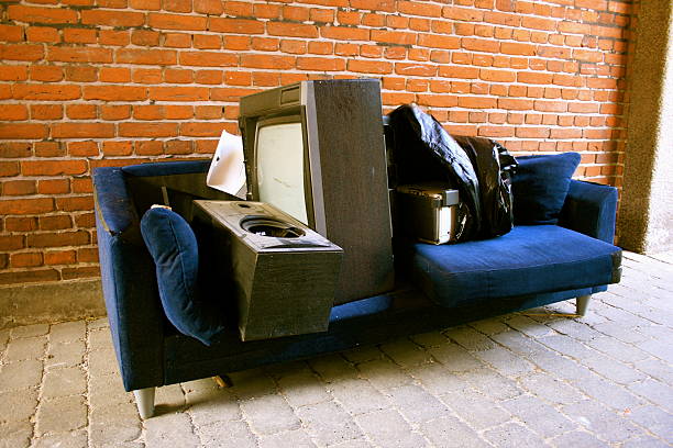 Best Professional Junk Removal  in Lake Vla, IL